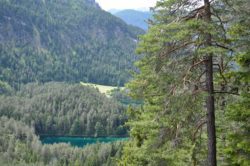Smaragdrohelised Fernsteinsee järved